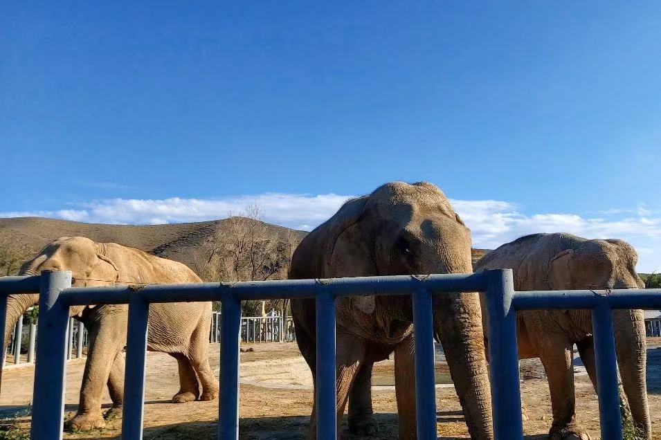 Tianshan Wildlife Park